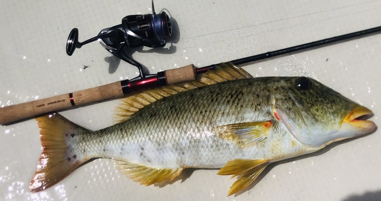 SHIMANO - スコーピオン　2652R-2 新品未使用!!!!!今だけセール シマノ(SHIMANO) スコーピオン 2652R-2 392138｜アウトドア用品