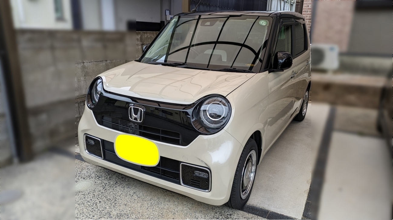 無限(MUGEN |ムゲン) Nワン N-ONE フロントスポイラー FRONT LOWER 