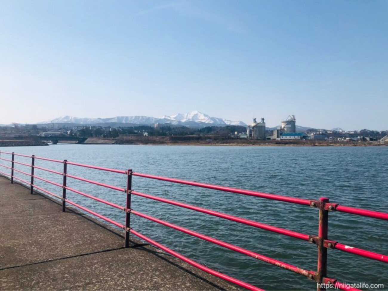 みなと 2年ぶりに復活！川崎・東扇島東公園で10月に2日間のオールナイト