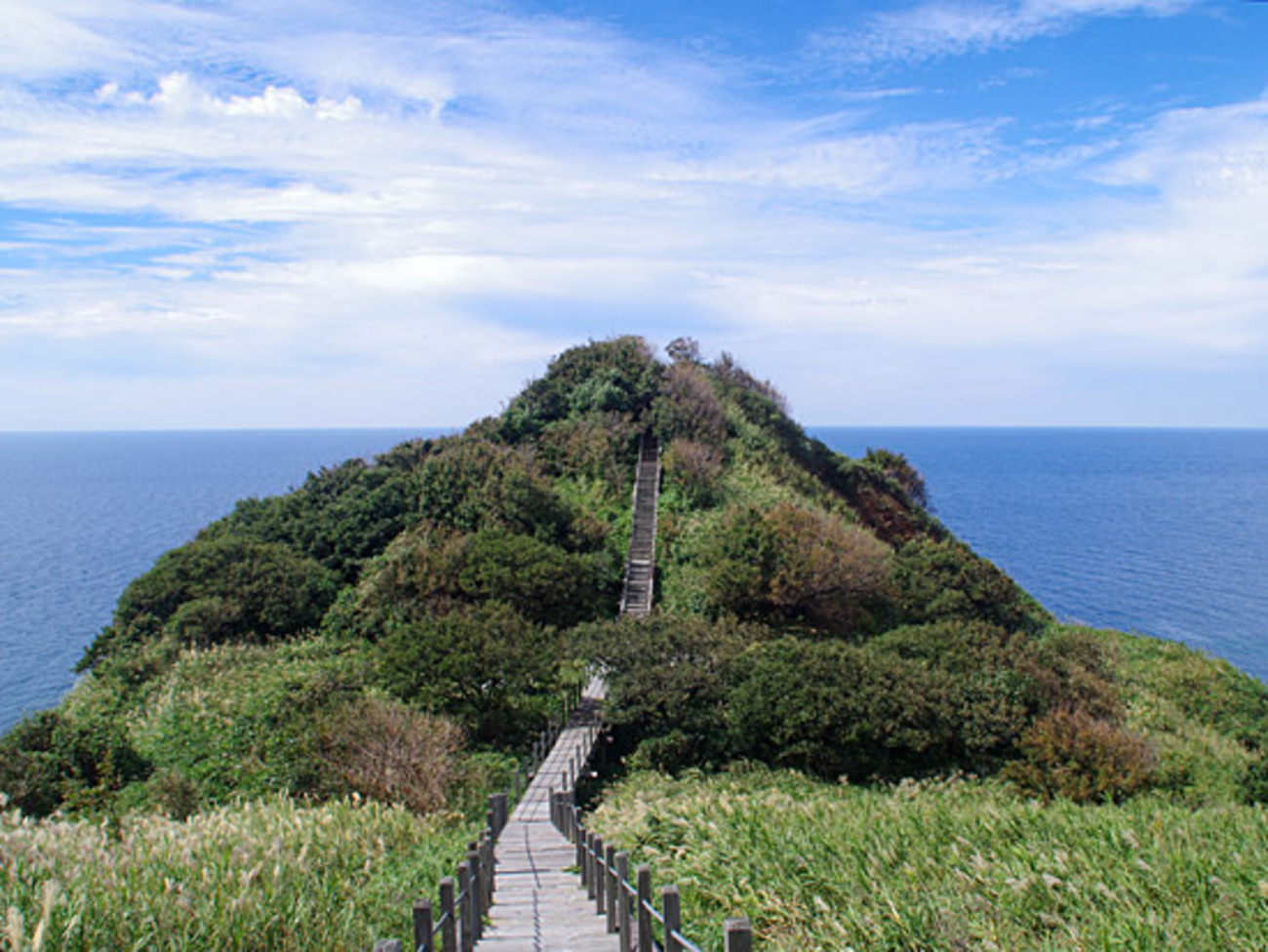 椎名もも抜ける画像 粟島観光のススメ1：自転車で回れる日本海の小さな離島、粟島 - 私的標本：捕まえて食べる