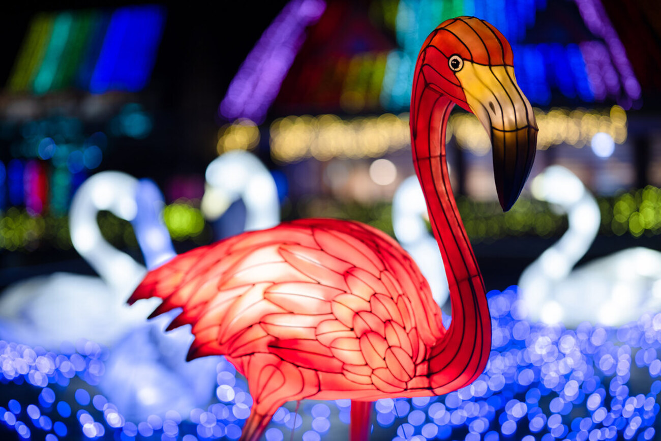 backend=imagemagick;version=1;