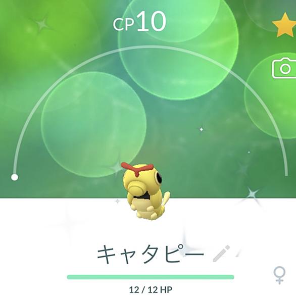 バタフリーとは ゲームの人気 最新記事を集めました はてな