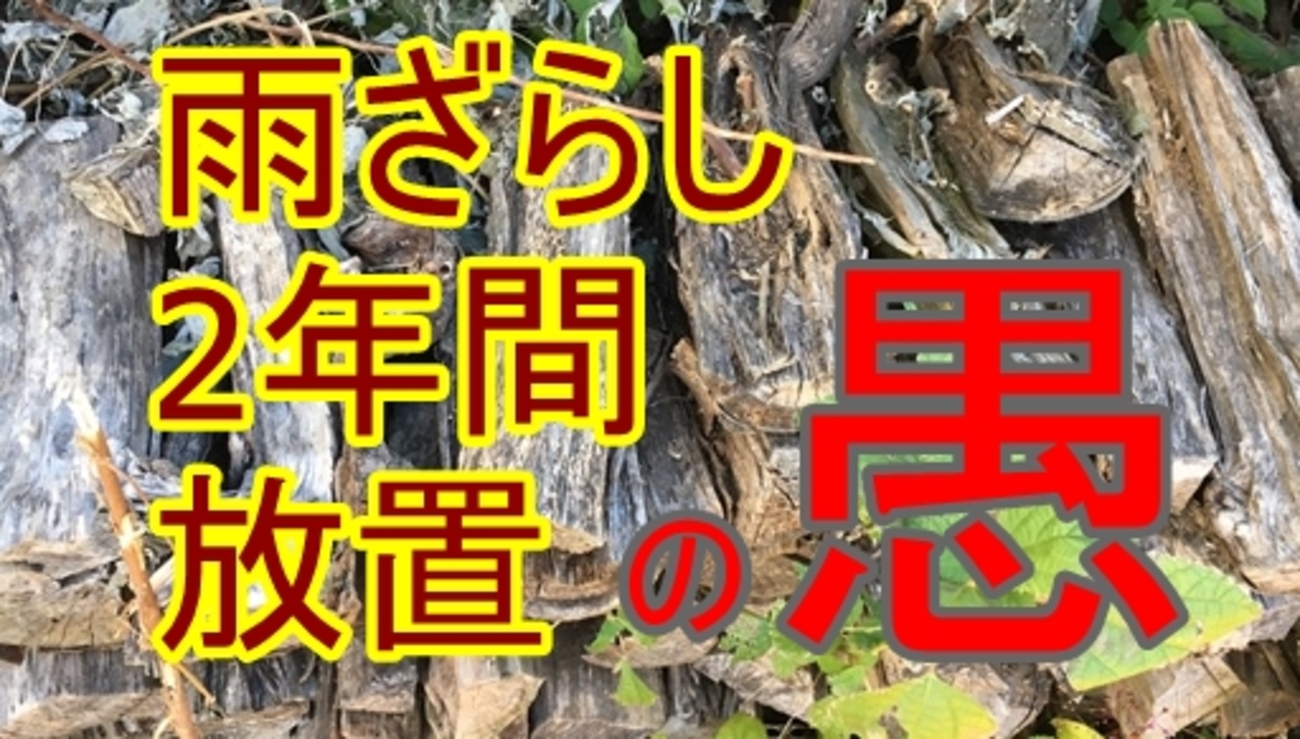 忘れられた薪のはなし（2年間の雨ざらしで薪はこうなる） - 薪ストーブ 