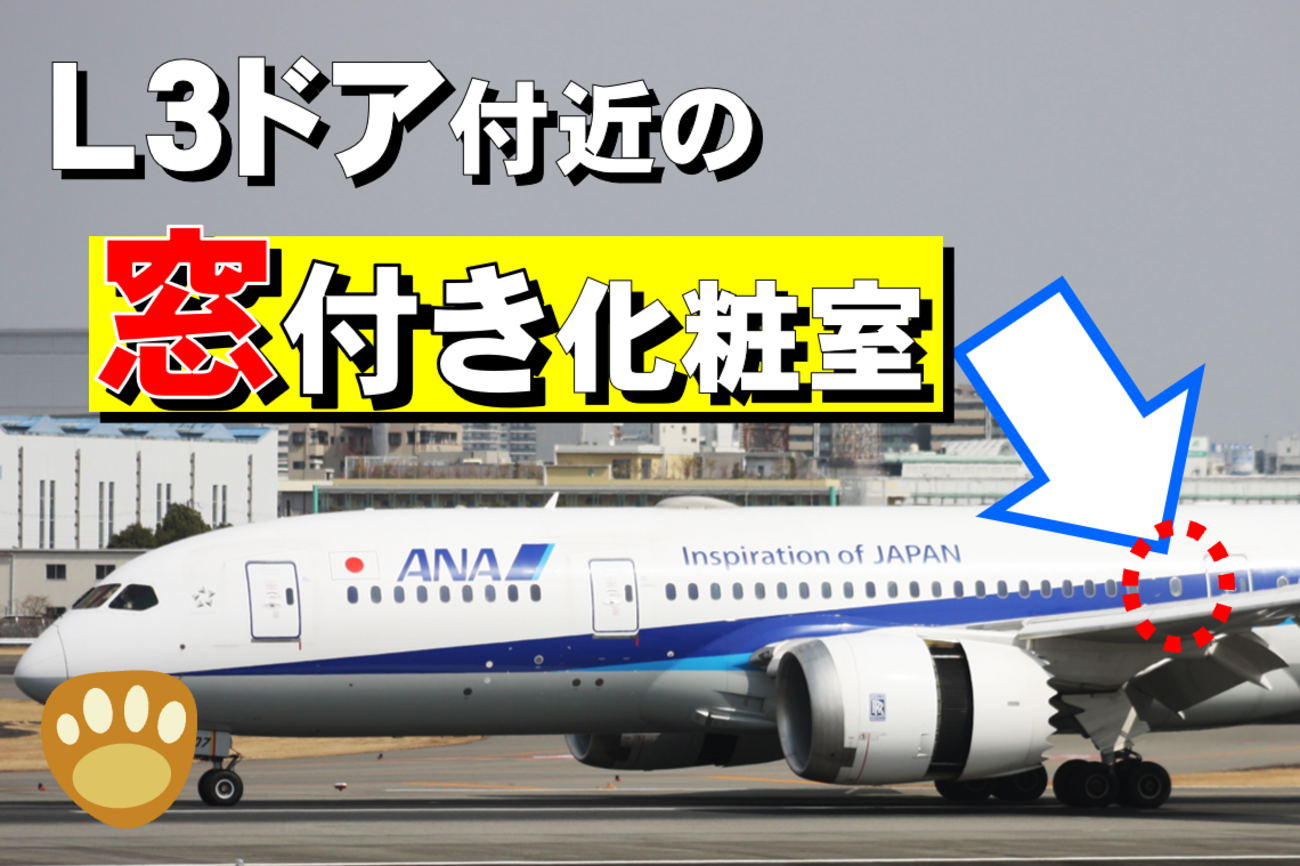 最強トイレ】ANA787で乗れる窓付き？？？ - 旅するおしゃべりくまさん