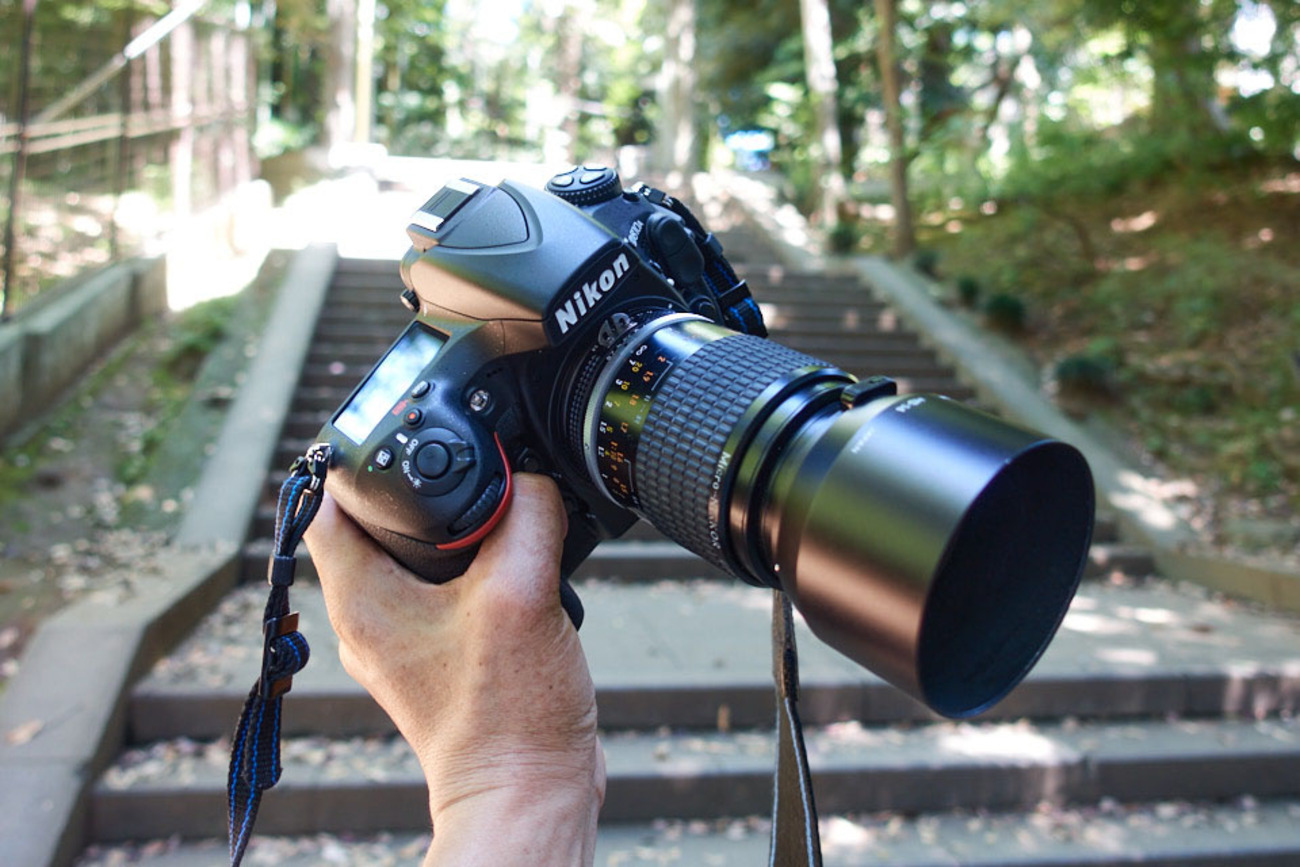 ニコンのマイクロレンズ、AI Micro-Nikkor 105mm f/2.8S を D810A 