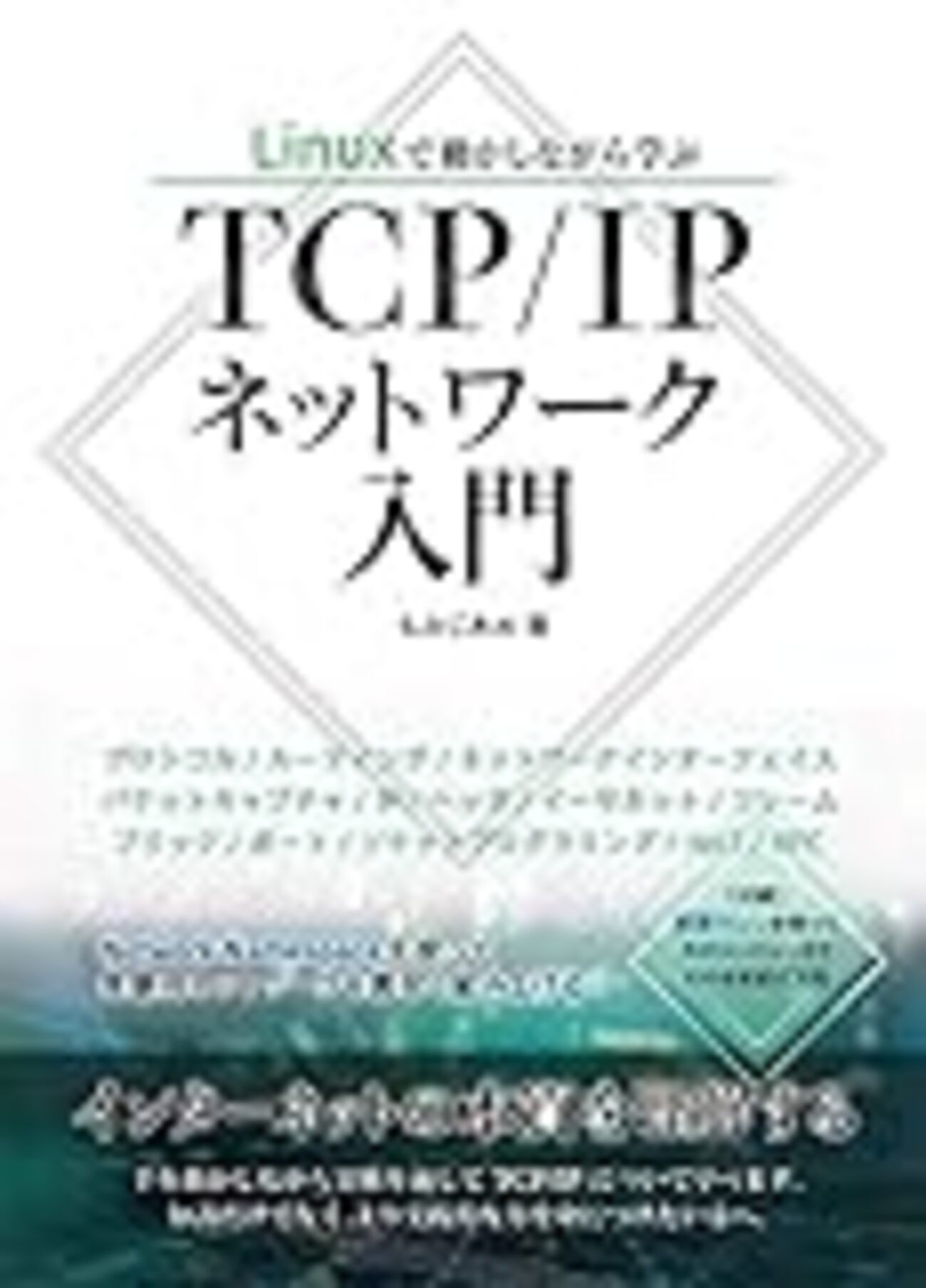 (本・参考書) 通信&ネットワークがわかる事典 企業系列・関係会社ネットワークがわかる事典 早引き版: 図版が