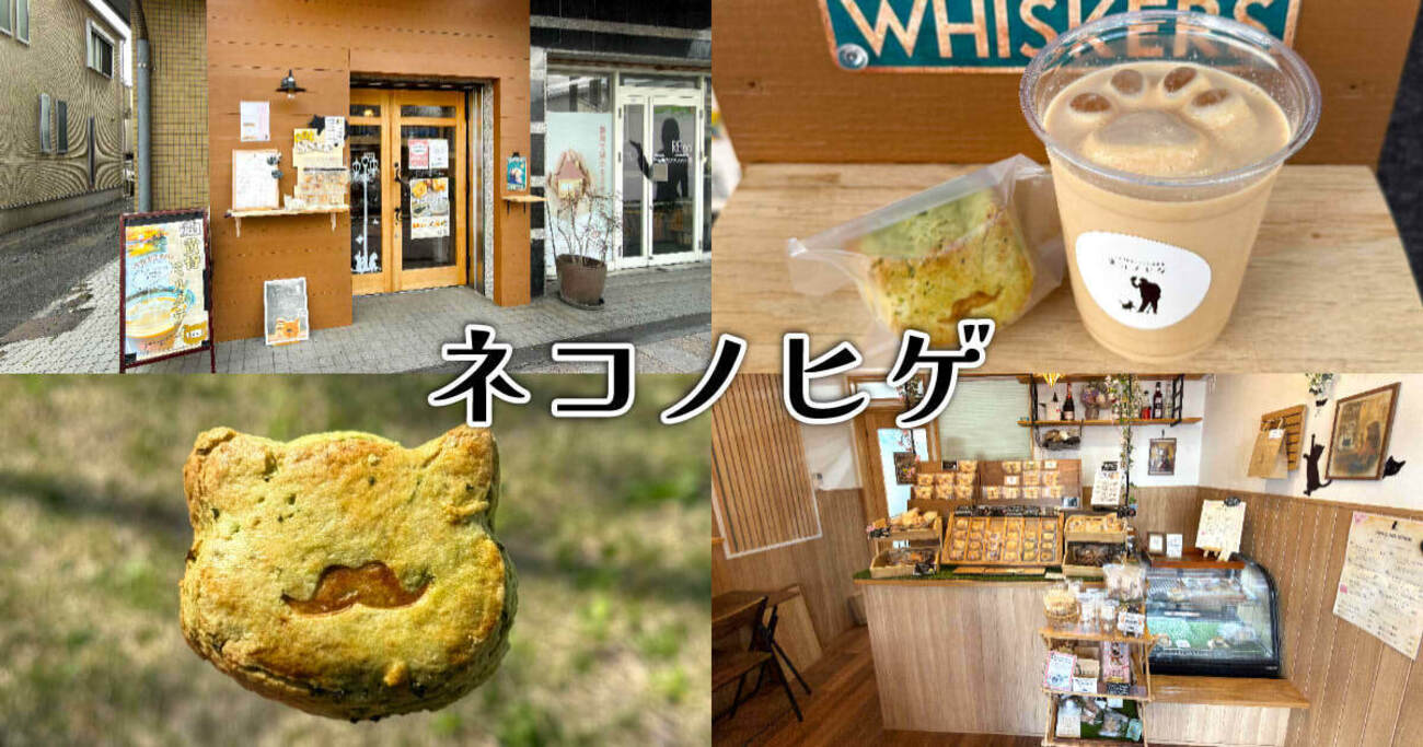 静岡の猫型スコーン店、実店舗復活！