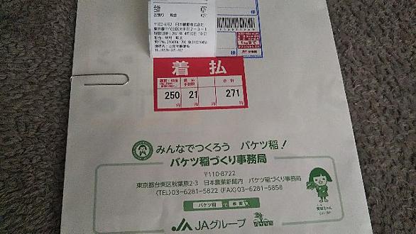 バケツ稲とは 人気 最新記事を集めました はてな