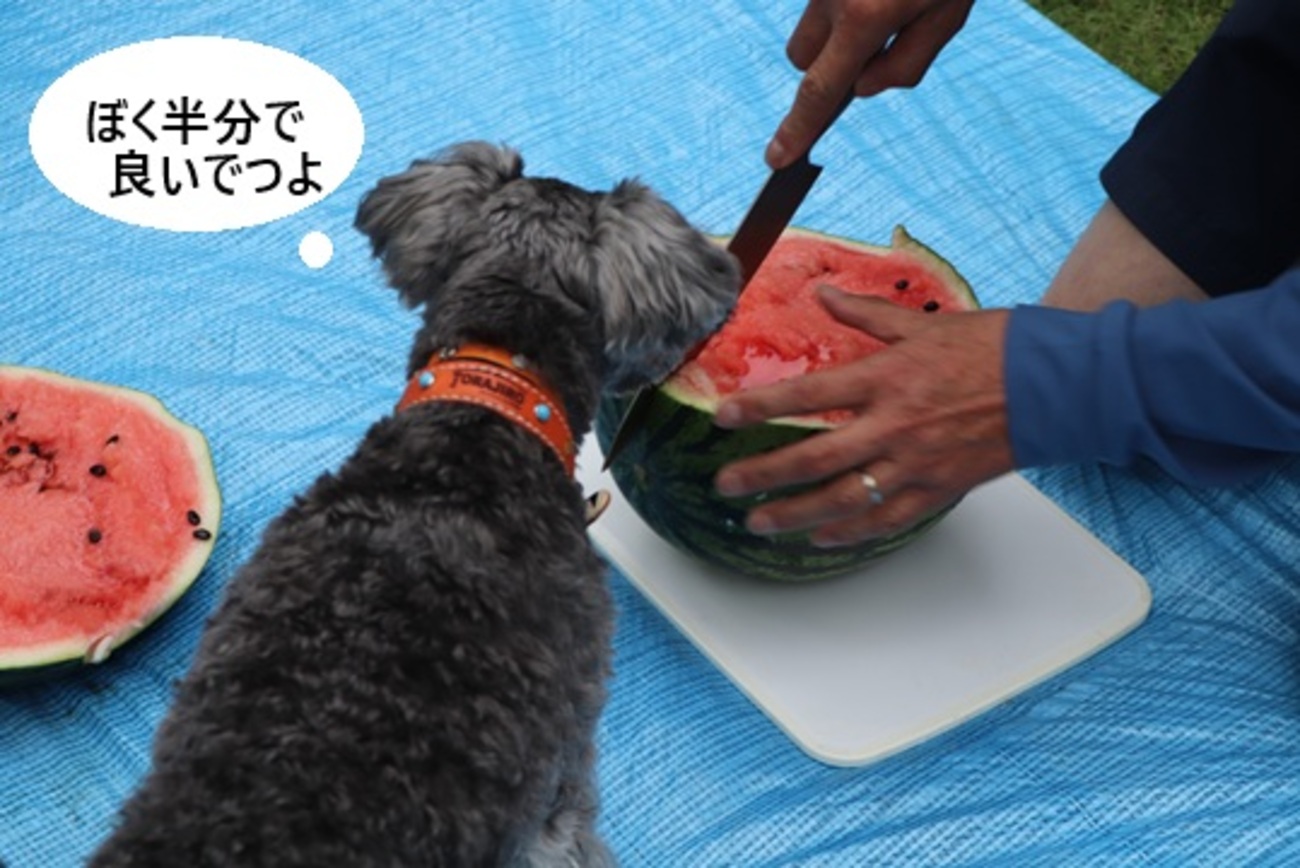 お友達と那須へ（後編） - 寅次郎のお気楽な日々