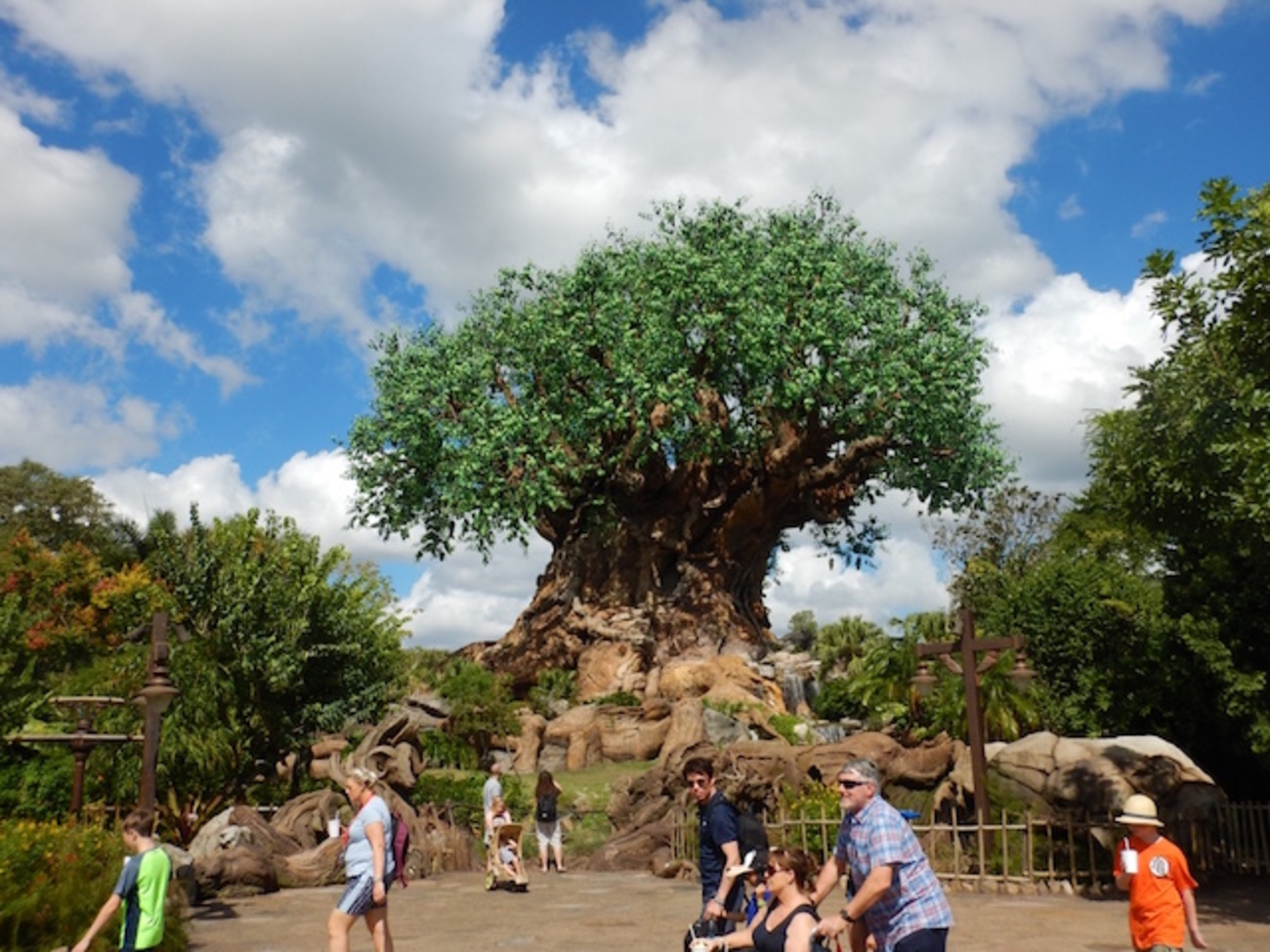アメリカ横断9日目①〜ディズニー・アニマルキングダム前編（WDW