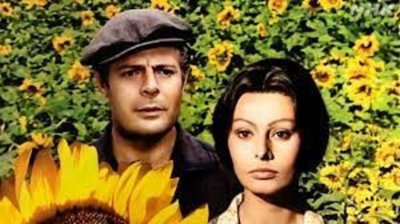 ヴィットリオ・デ・シーカ監督作品　ひまわり　マルチェロ・マストロヤンニ ひまわり】 | 第37回東京国際映画祭