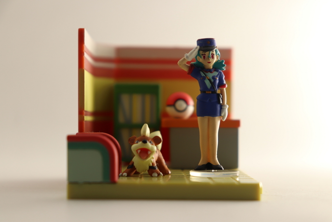 レビュー】ポケットモンスター ぜんこくばん 立体ポケモン図鑑 第6集 