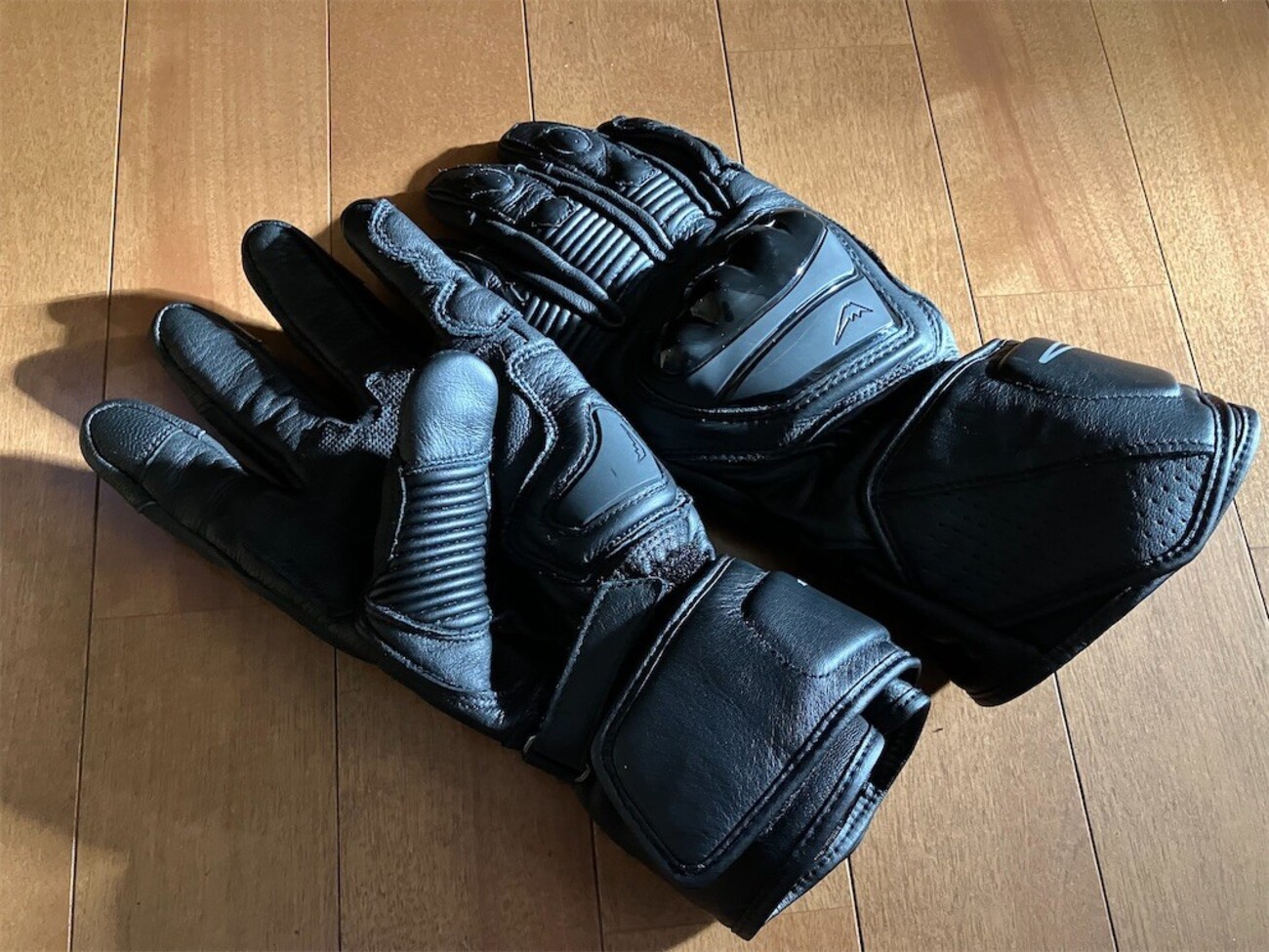 本日の買い物：K-5345 アドロイドグローブ - ツー