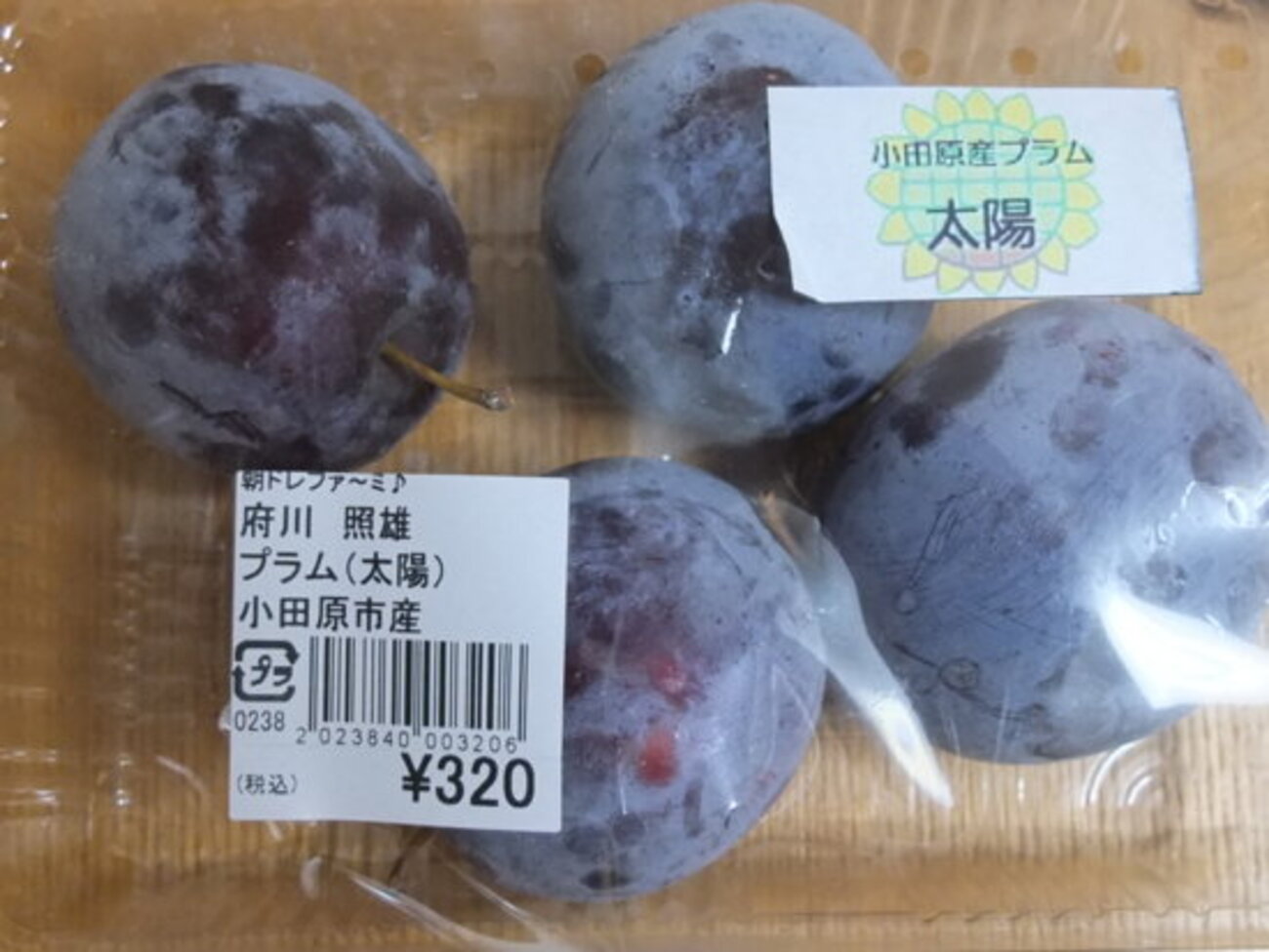小田原産 プラム「太陽」 - 小田原な日々
