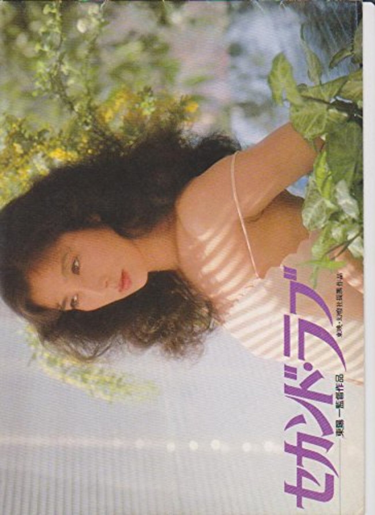 映画】『セカンド・ラブ』再婚妻の大原麗子が若い女に負ける