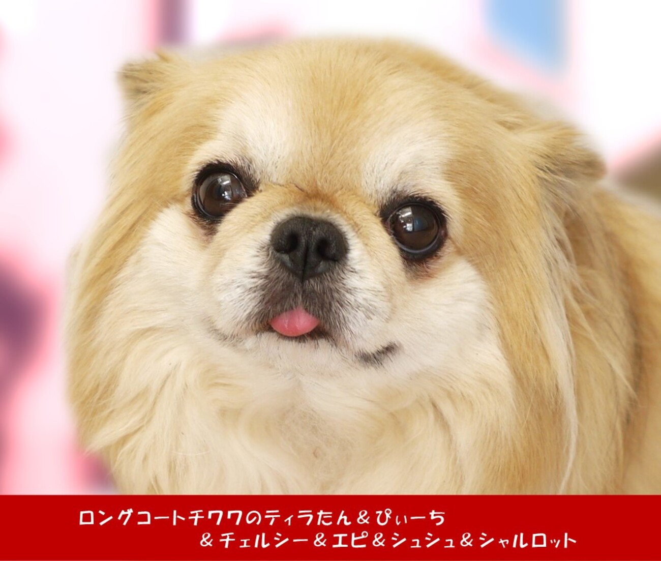 backend=imagemagick;version=1;