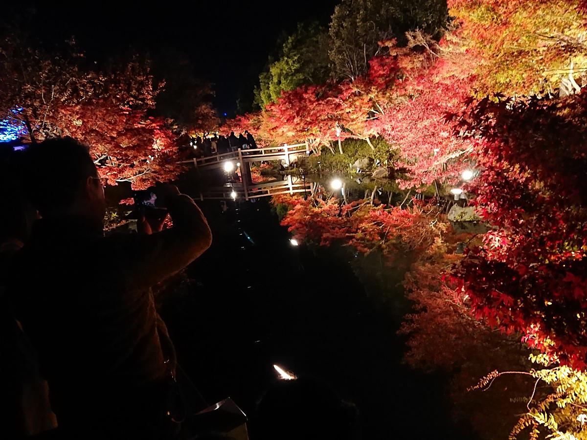 記事一覧 まるい月の夜のアトリエ