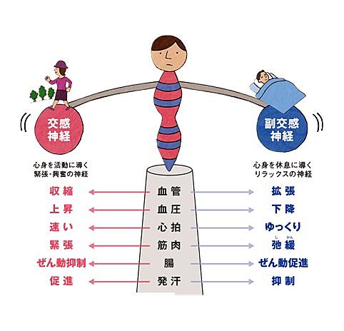 長島千恵さんとは 一般の人気 最新記事を集めました はてな 長島千恵さんとは 一般の人気 最新記事を集めました はてな