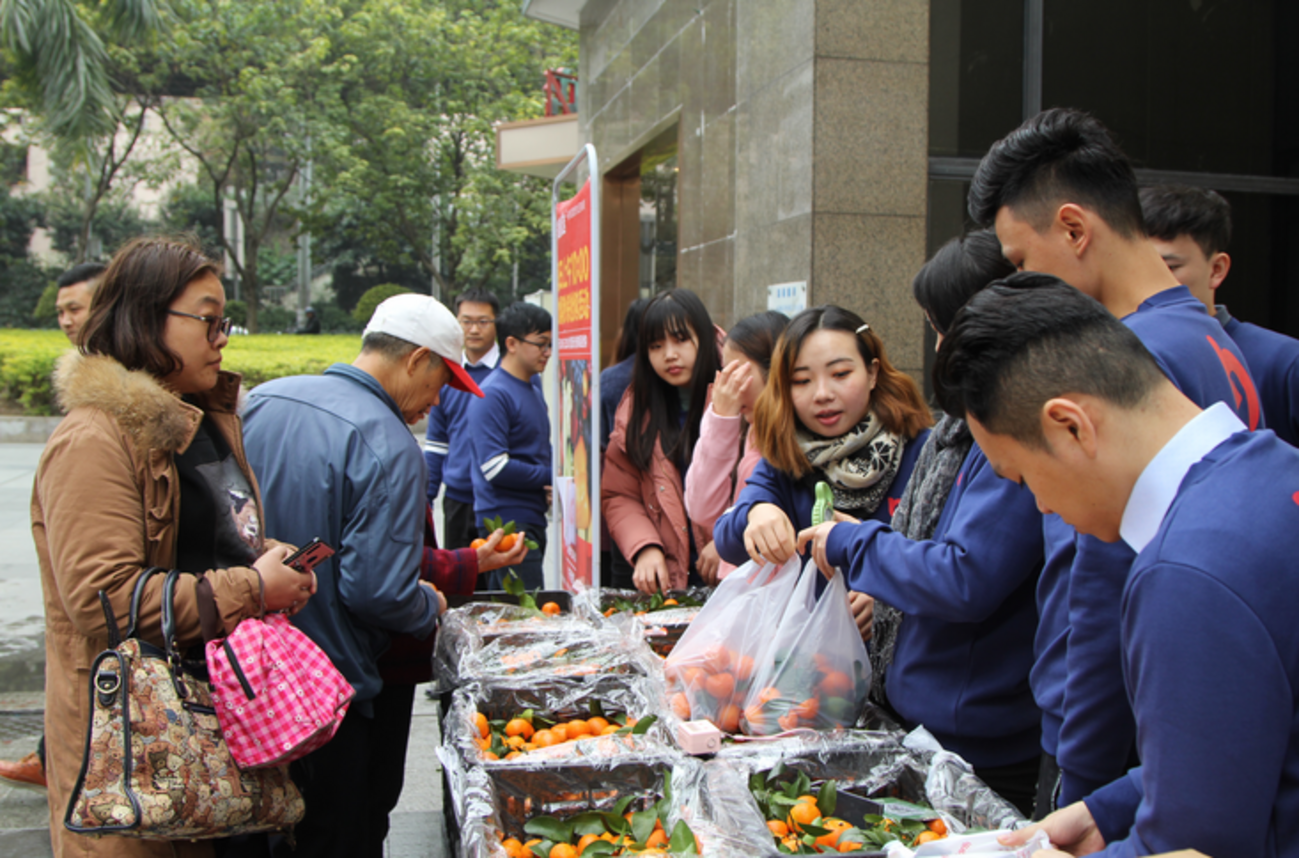 Site image of the bookmark