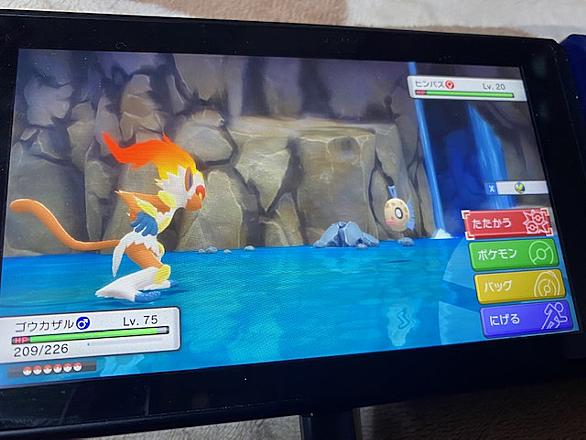 ヒンバスとは ゲームの人気 最新記事を集めました はてな ヒンバスとは ゲームの人気 最新記事を集めました はてな