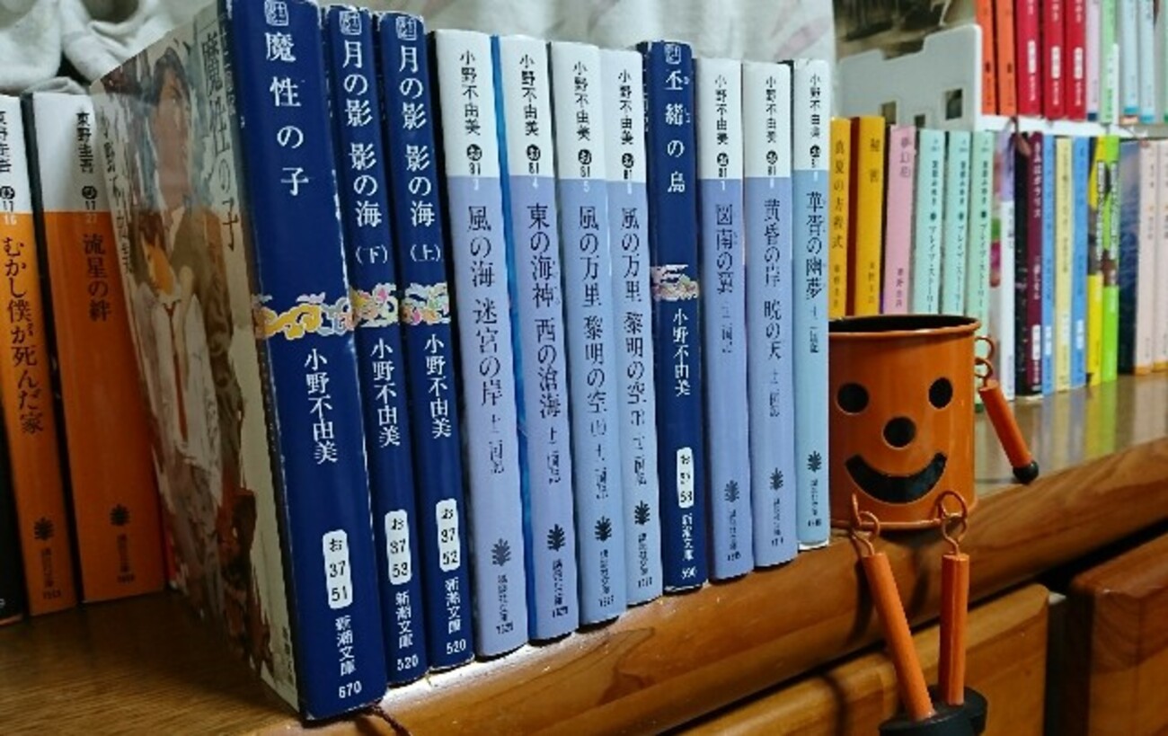 十二国記シリーズを読み終えたので感想を好き勝手に語る【小野