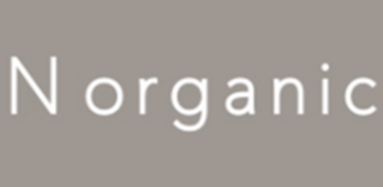 N オーガニック vie norganic ロゴ 新 N organic Bright 美白 