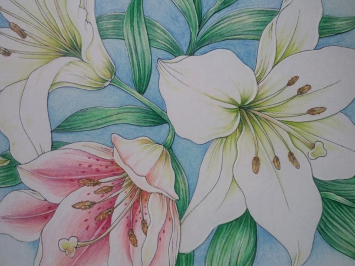 色鉛筆による人物絵画 　花絵ちゃん　2Lサイズ 色鉛筆による人物絵画 ボールペン画 花絵ちゃん 2Lサイズ
