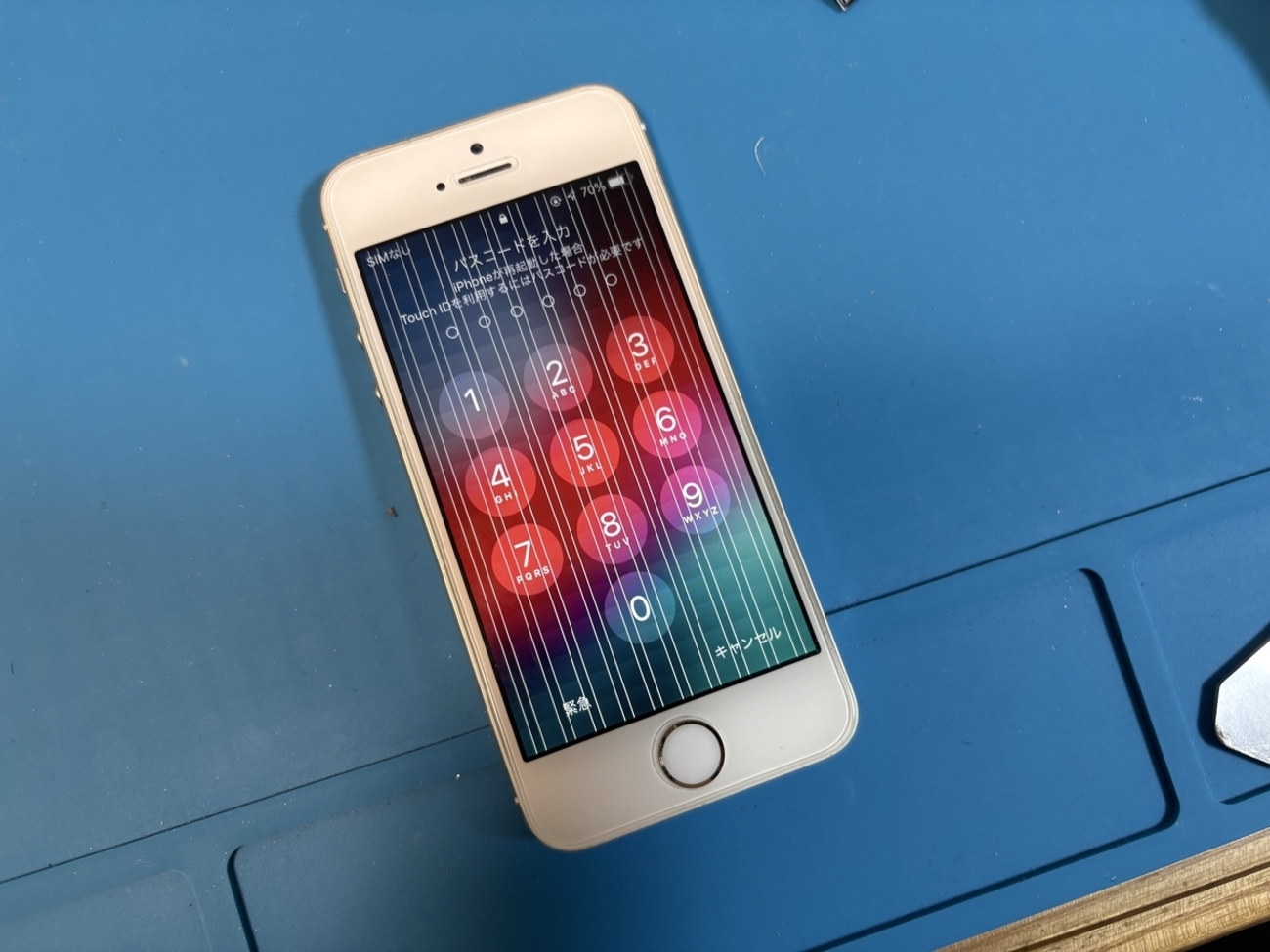 iPhone 5s のカメラ故障修理とジャンクなiPhone 5s と6 を購入 - なか 