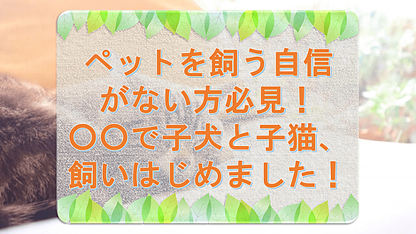 Nintendogs Catsとは ゲームの人気 最新記事を集めました はてな