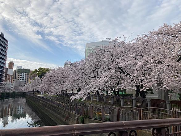 天神中央公園とは 地理の人気 最新記事を集めました はてな