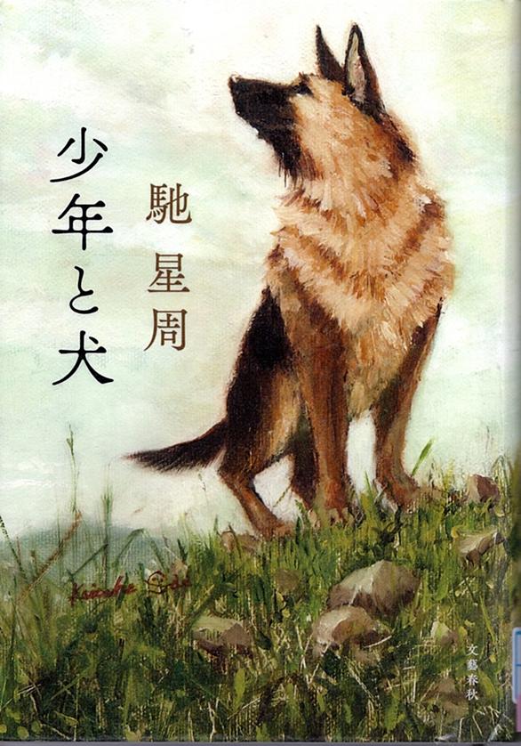 家なき子レミとは アニメの人気 最新記事を集めました はてな