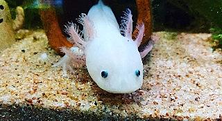 マルハニチロとは 食の人気 最新記事を集めました はてな マルハニチロとは 食の人気 最新記事を集めました はてな