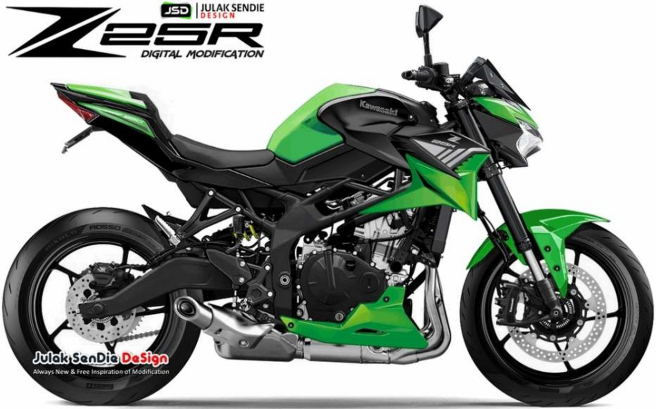 ネイキッドサン ネイキッド化したZX-25R SE（2023）のカスタムのレポート