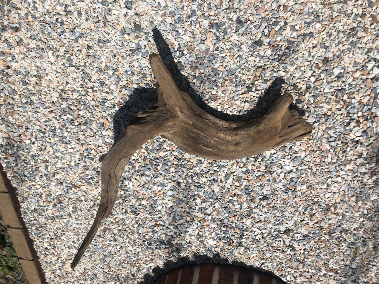 漆塗り流木 番外編】オホーツクから届いた流木にニスを塗ってオブジェっぽく