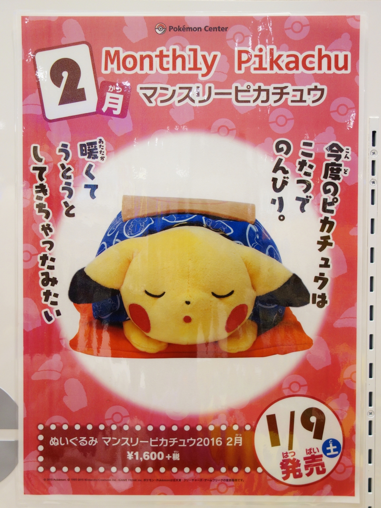 予告】ぬいぐるみ マンスリーピカチュウ2016 2月 (2016年1月9日(土 
