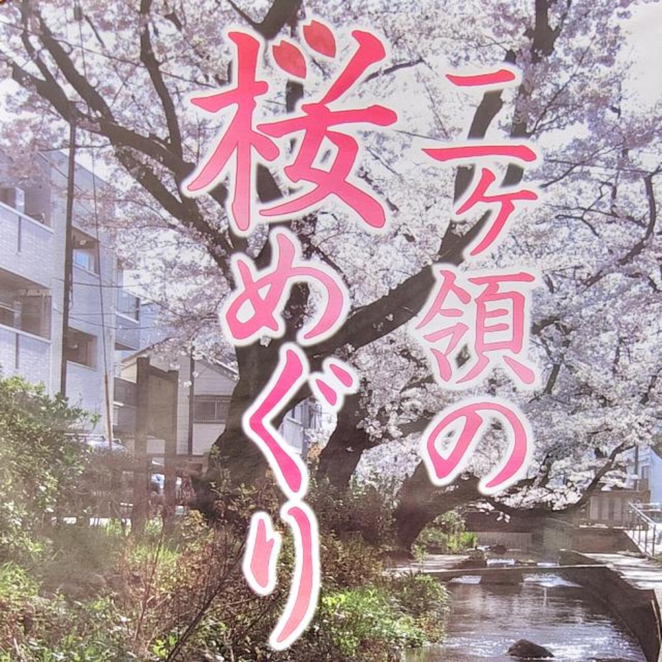 桜②様　ご確認用ページ backend=imagemagick;version=1;