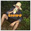 SHRIMP - EP