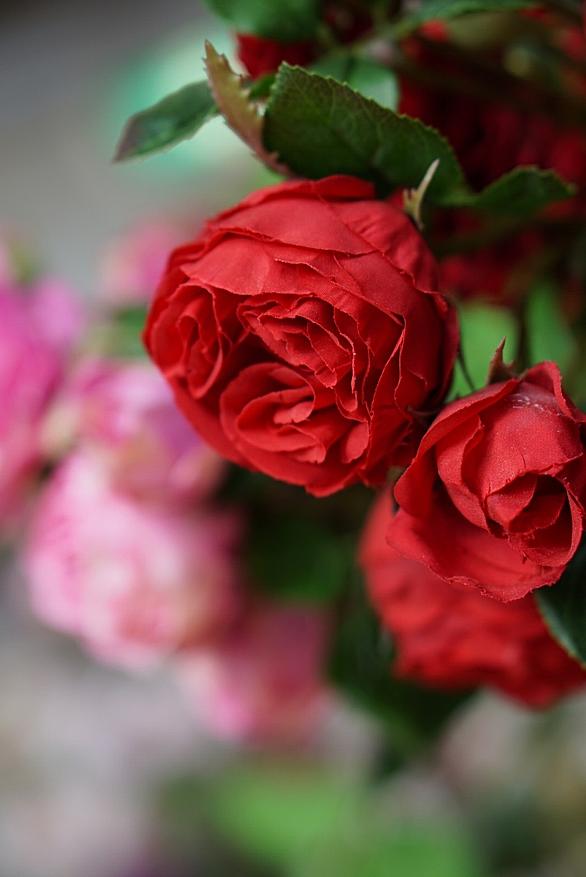 花束みたいな恋をしたとは 人気 最新記事を集めました はてな 花束みたいな恋をしたとは 人気 最新記事を集めました はてな