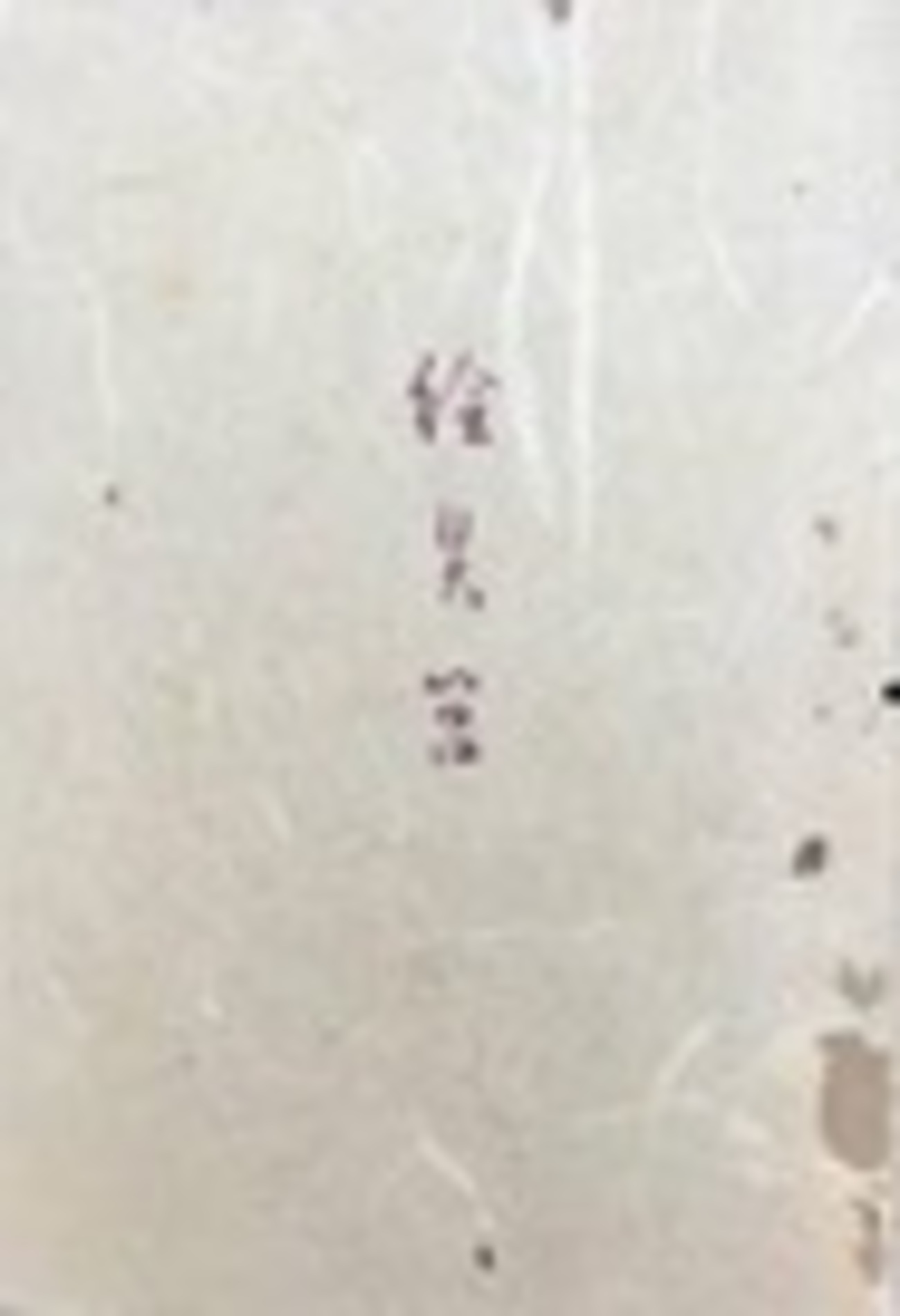 古本夜話 番外編その三の5 岩本和三郎と双雅房『清方随筆選集』 - 出版