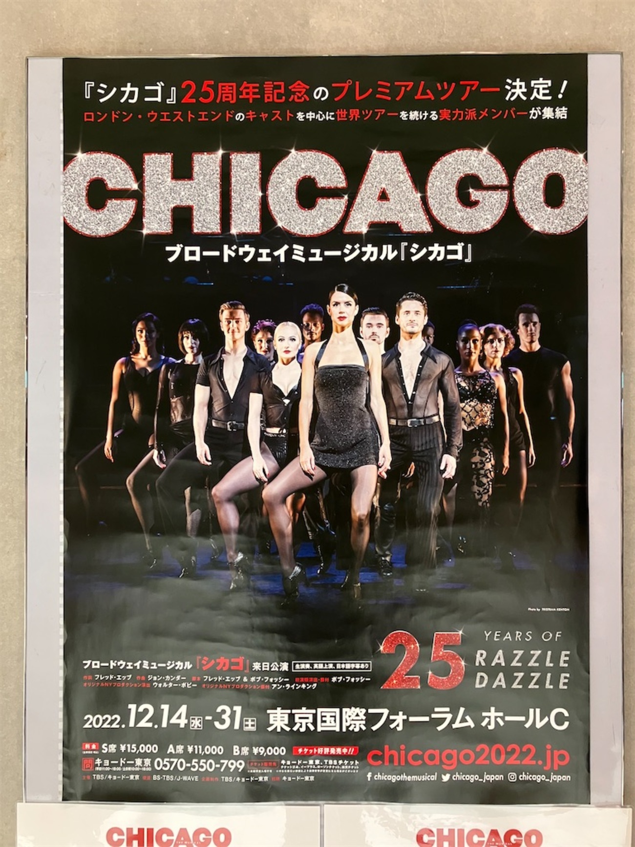 毒気とフォッシースタイルに魅了される ミュージカル『CHICAGO』12/30 