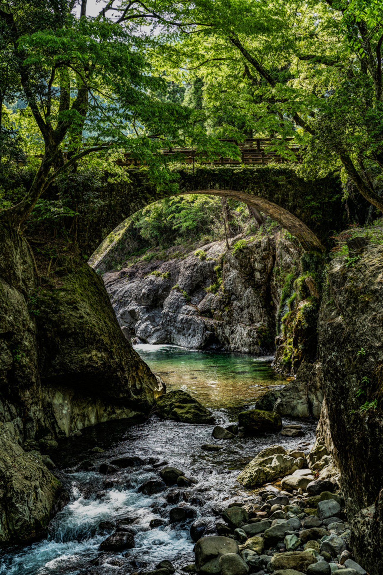 鹿の角　10本まとめて　名勝耶馬渓産　魔除け 鹿の角 10本まとめて 名勝耶馬渓産 魔除け 鹿の角 10本まとめて 名勝