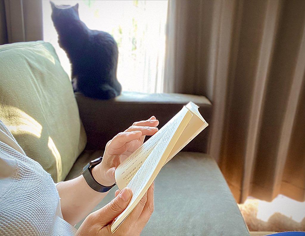 猫とミニマルライフ