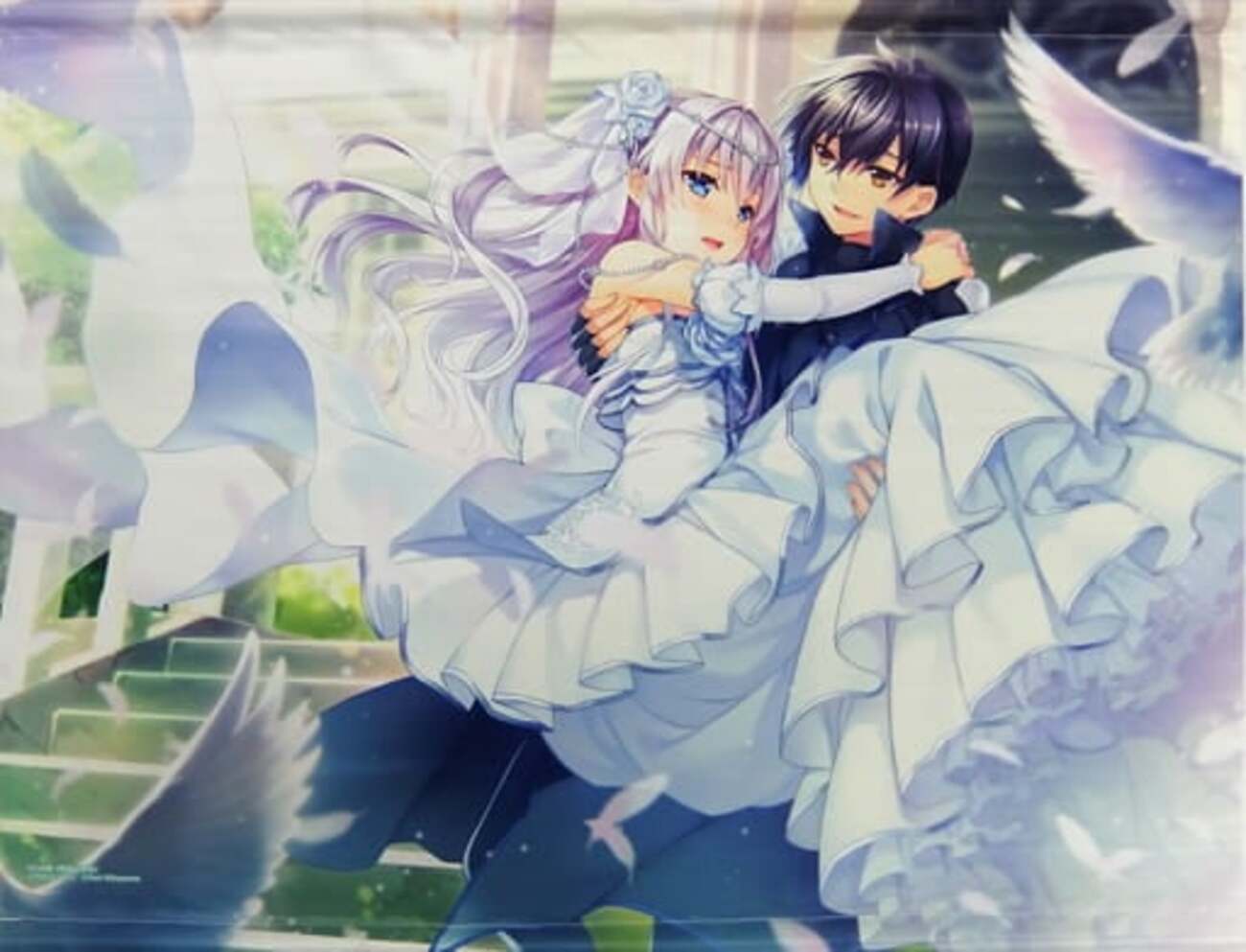 backend=imagemagick;version=1;