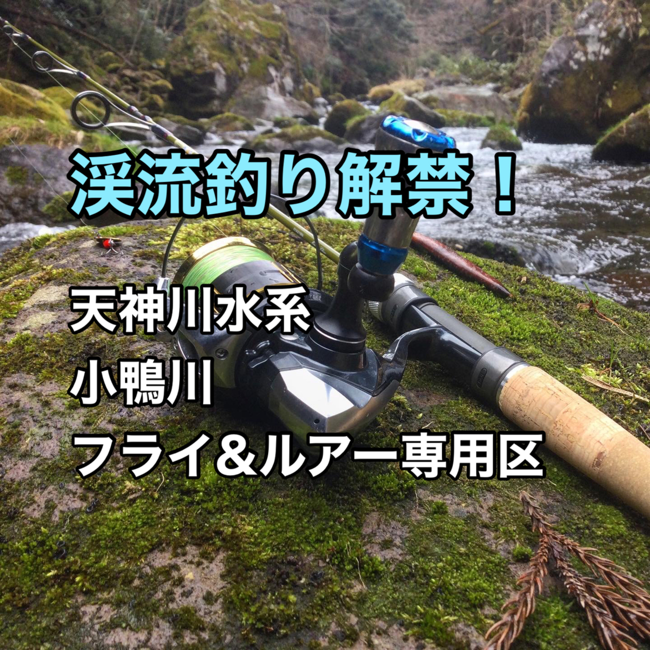 鳥取県【天神川水系フライ・ルアー専用区】渓流釣りをするための