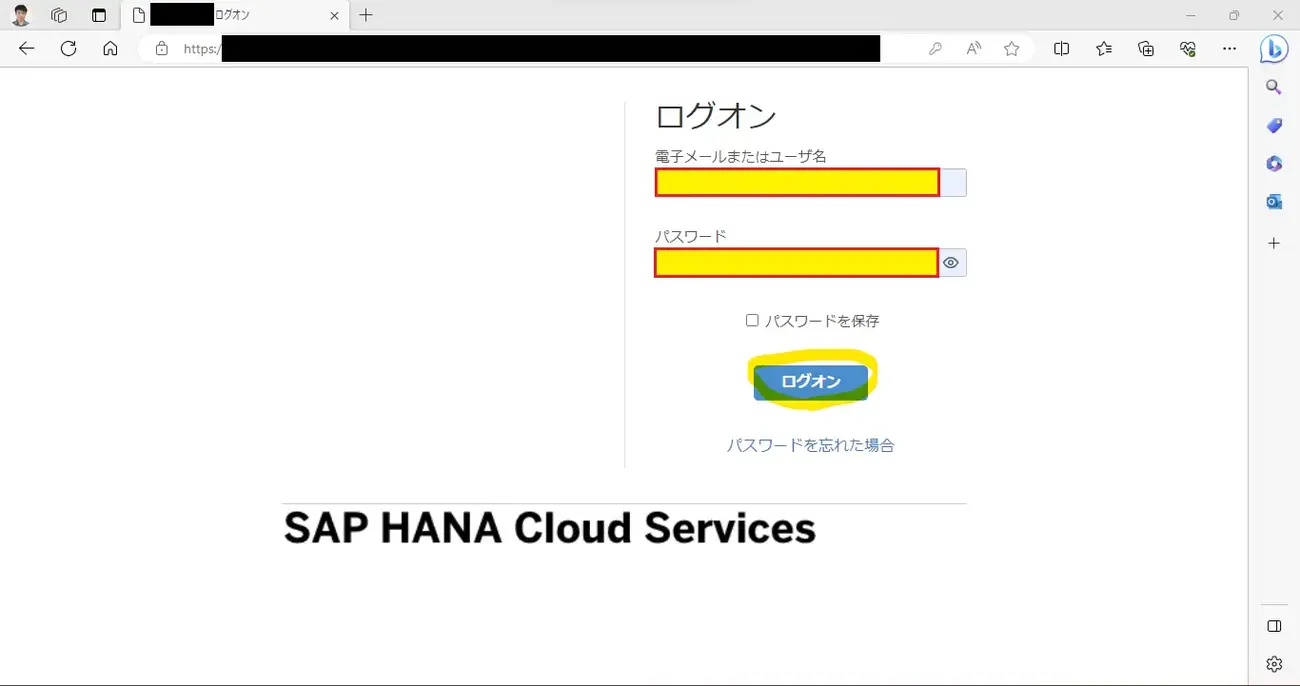 SAP BTP：SAP BW Bridge(1/4)：インスタンス作成～開発環境準備 - BeeX