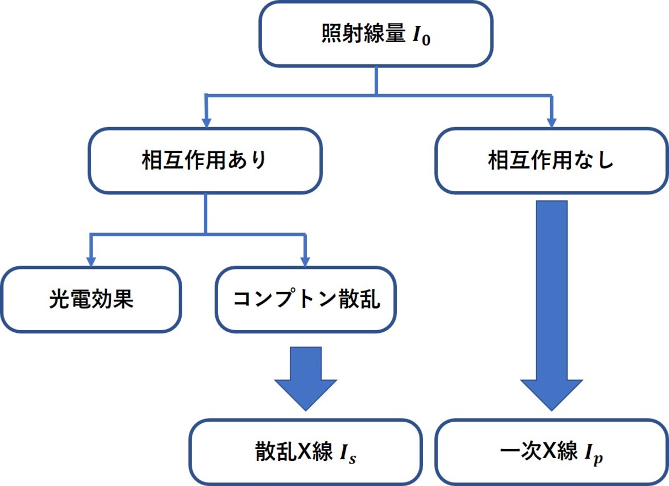 backend=imagemagick;version=1;