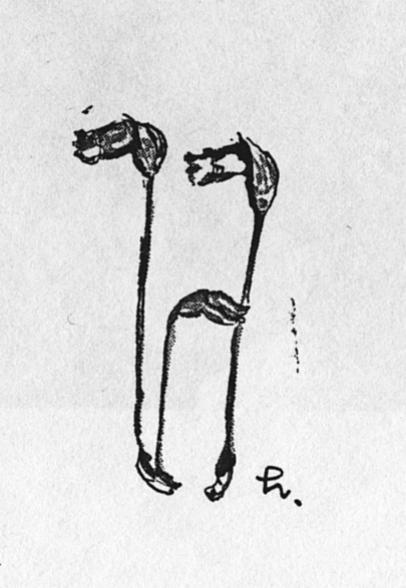 めじろんとは 一般の人気 最新記事を集めました はてな めじろんとは 一般の人気 最新記事を集めました はてな