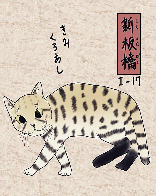 クロアシネコとは 動植物の人気 最新記事を集めました はてな クロアシネコとは 動植物の人気 最新記事を集めました はてな