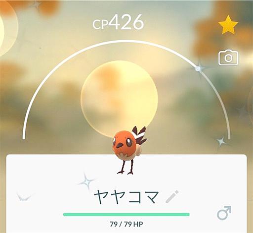 メガギャラドスとは ゲームの人気 最新記事を集めました はてな メガギャラドスとは ゲームの人気 最新記事を集めました はてな