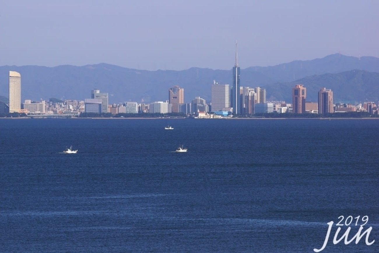 博多湾 福岡タワー - 鳥や自然と触れ合う時間
